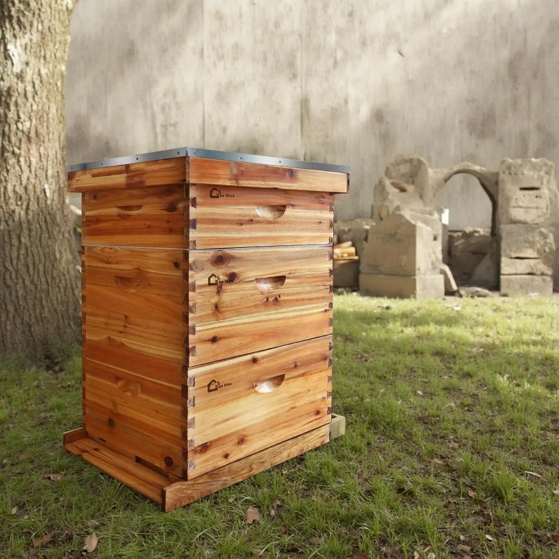 Beehive Frame Wax - 10-Frame Complete Beehive Kit, Wax Coated