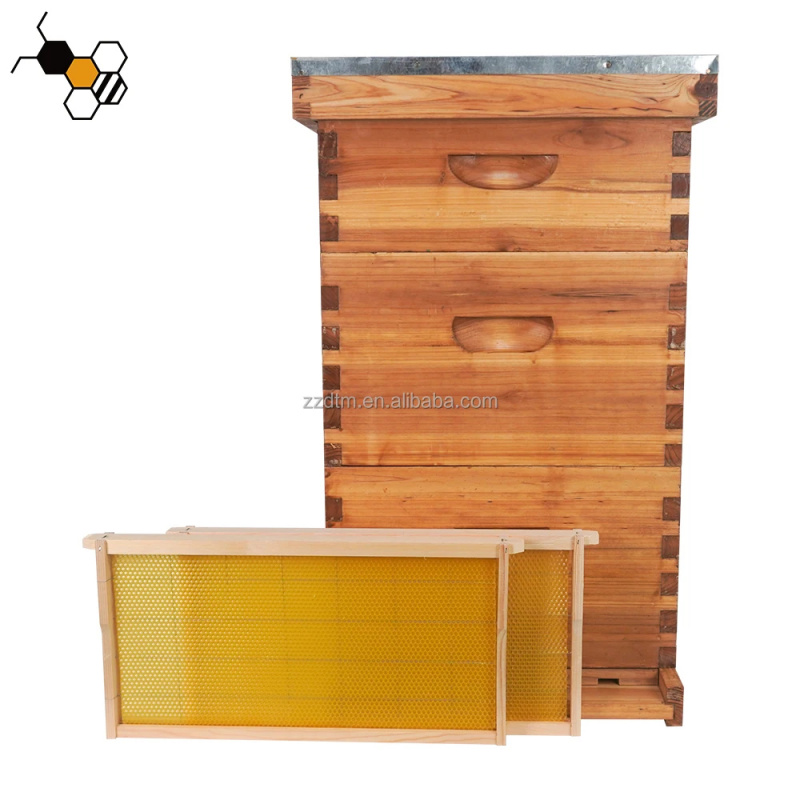 Beehive Frame Wax - High-Quality 30-Frame Bee Hive Kit With