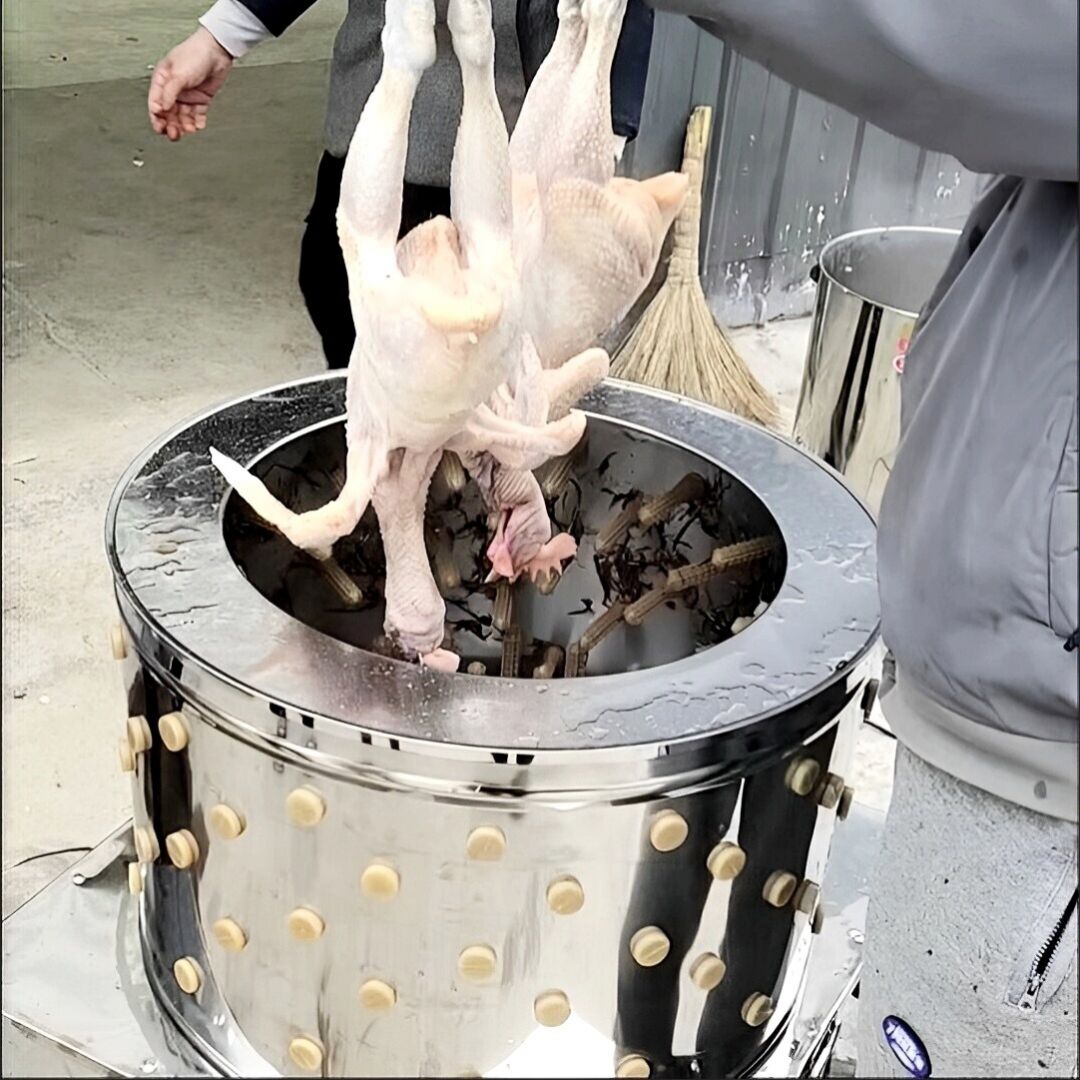 Farming Africa - Poultry Hair Remover for Farms Chicken