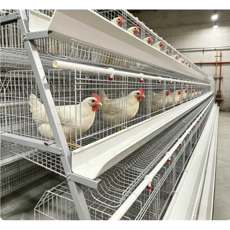 Farming Africa - A Type Battery Layer Cage Full