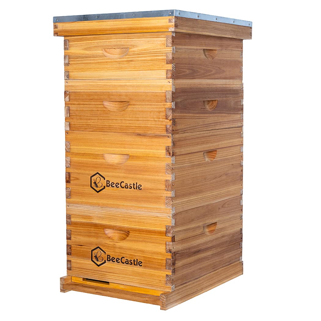 Beehive Frame Wax - 10 Frame Langstroth Bee Hive Coated