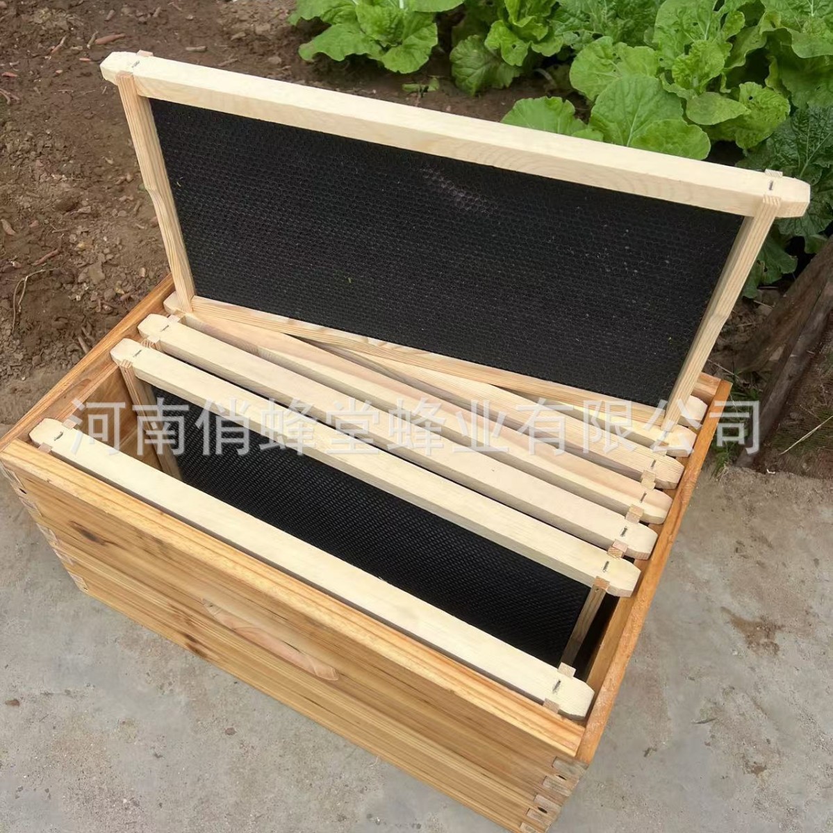Beehive Frame Wax - Beekeeping Tools First Class Stuttering Free