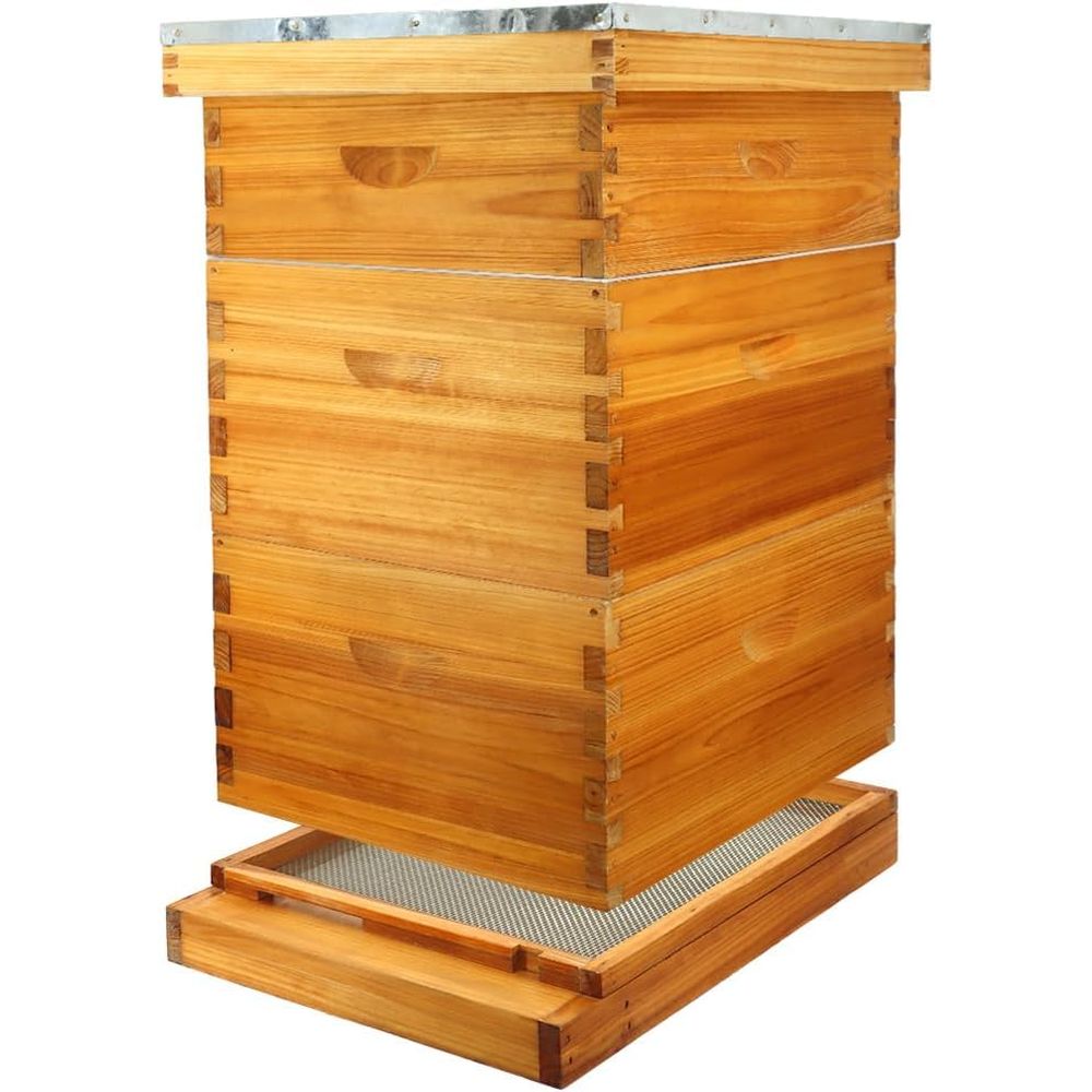 Beehive Frame Wax - 10-Frame Beehive Kit with Waxed Bottom