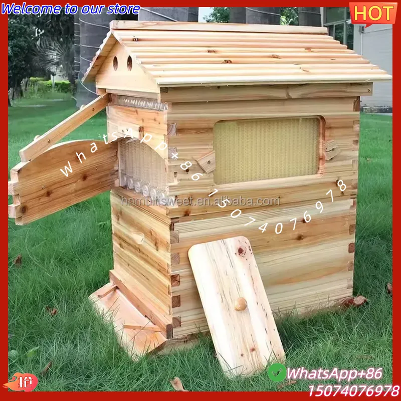 2026 Chinese Wax-Coated China  - огляд і ціна Beehive Frame Wax