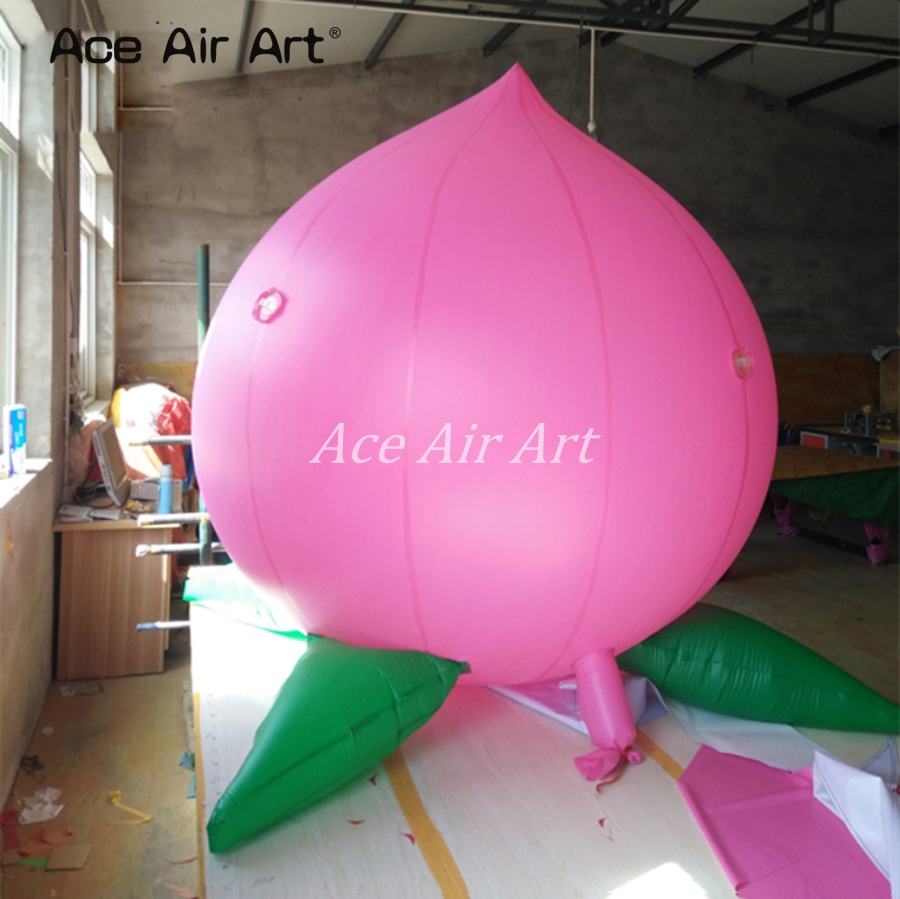 Advertising Giant Inflatable F - огляд і ціна Agriculture Farming School