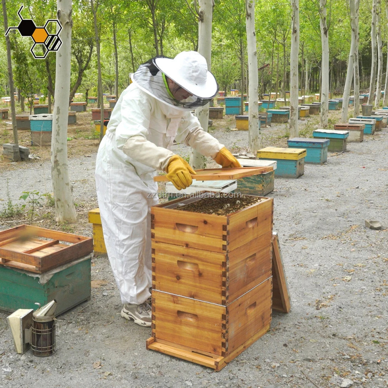 High-Quality 30-Frame Bee Hive - огляд і ціна Beehive Frame Wax