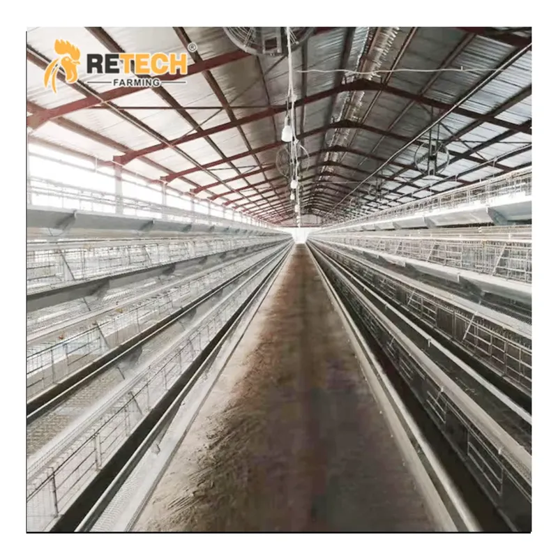 Automatic Layer Chicken Cage A - огляд і ціна Farming Africa