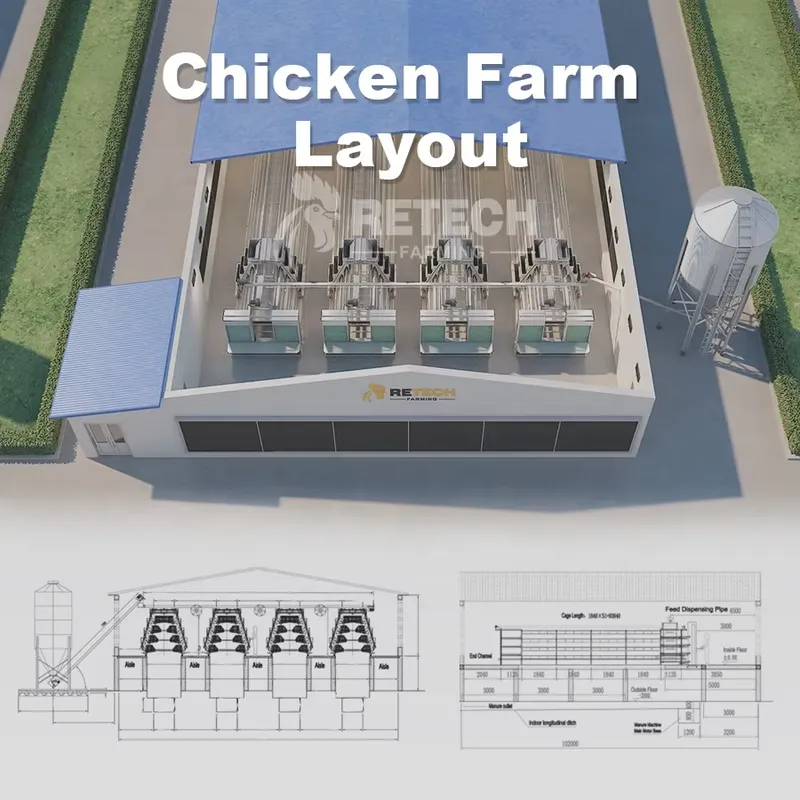 Automatic Layer Chicken Cage A - огляд і ціна Farming Africa