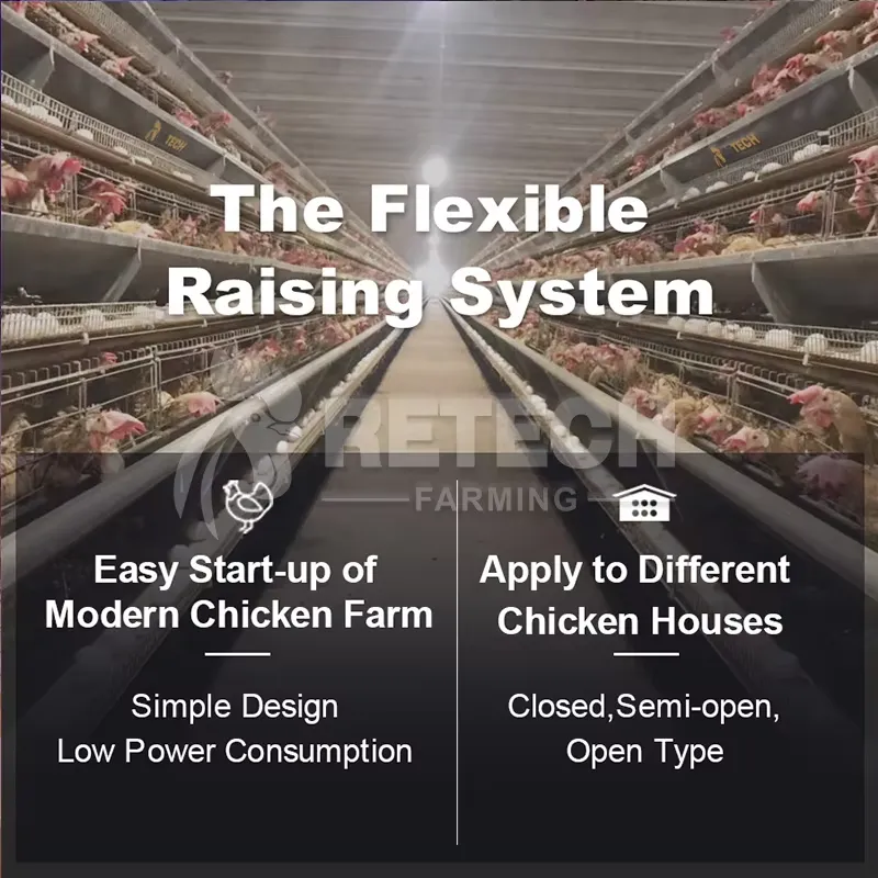 Automatic Layer Chicken Cage A - огляд і ціна Farming Africa