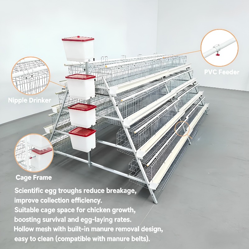  chicken coop New Africa a Typ - огляд і ціна Farming Africa