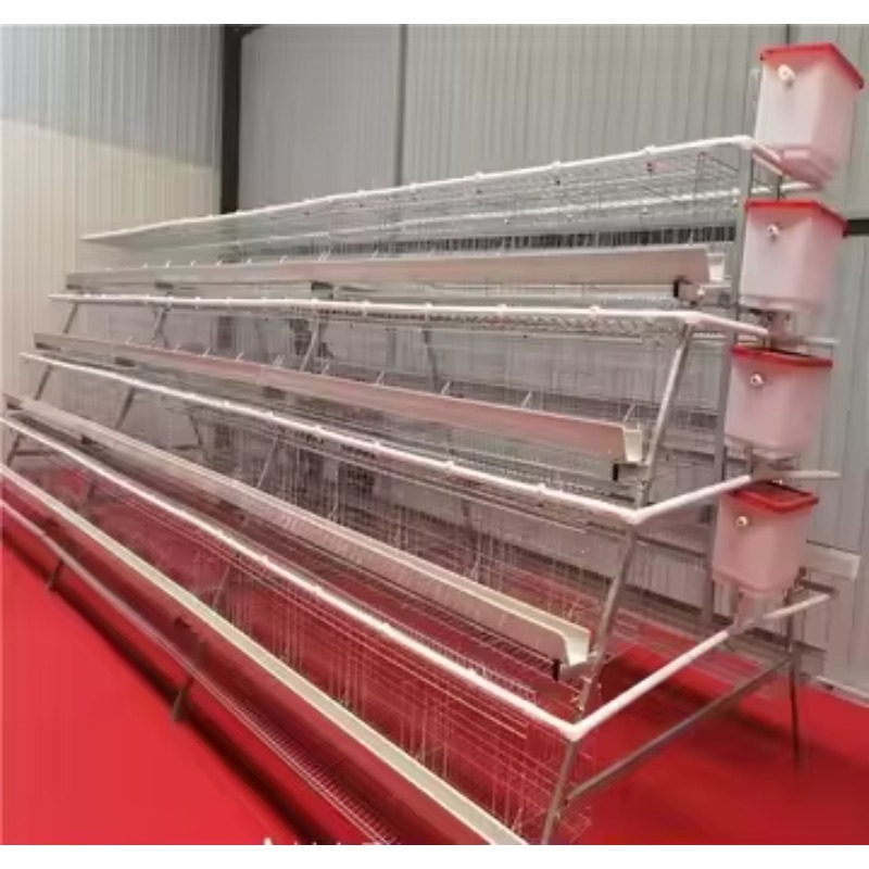  chicken coop New Africa a Typ - огляд і ціна Farming Africa
