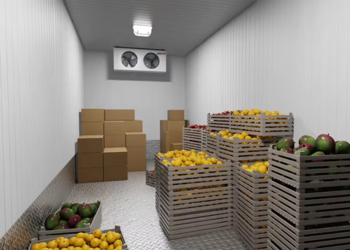 Solar Walk in Cold Storage Roo - огляд і ціна Farming Africa