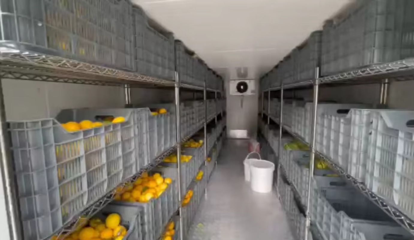 Solar Walk in Cold Storage Roo - огляд і ціна Farming Africa