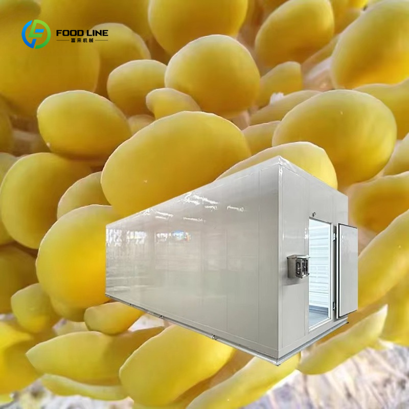 Smart Mushroom Growing Capsule - огляд і ціна Agriculture Farming New Technology