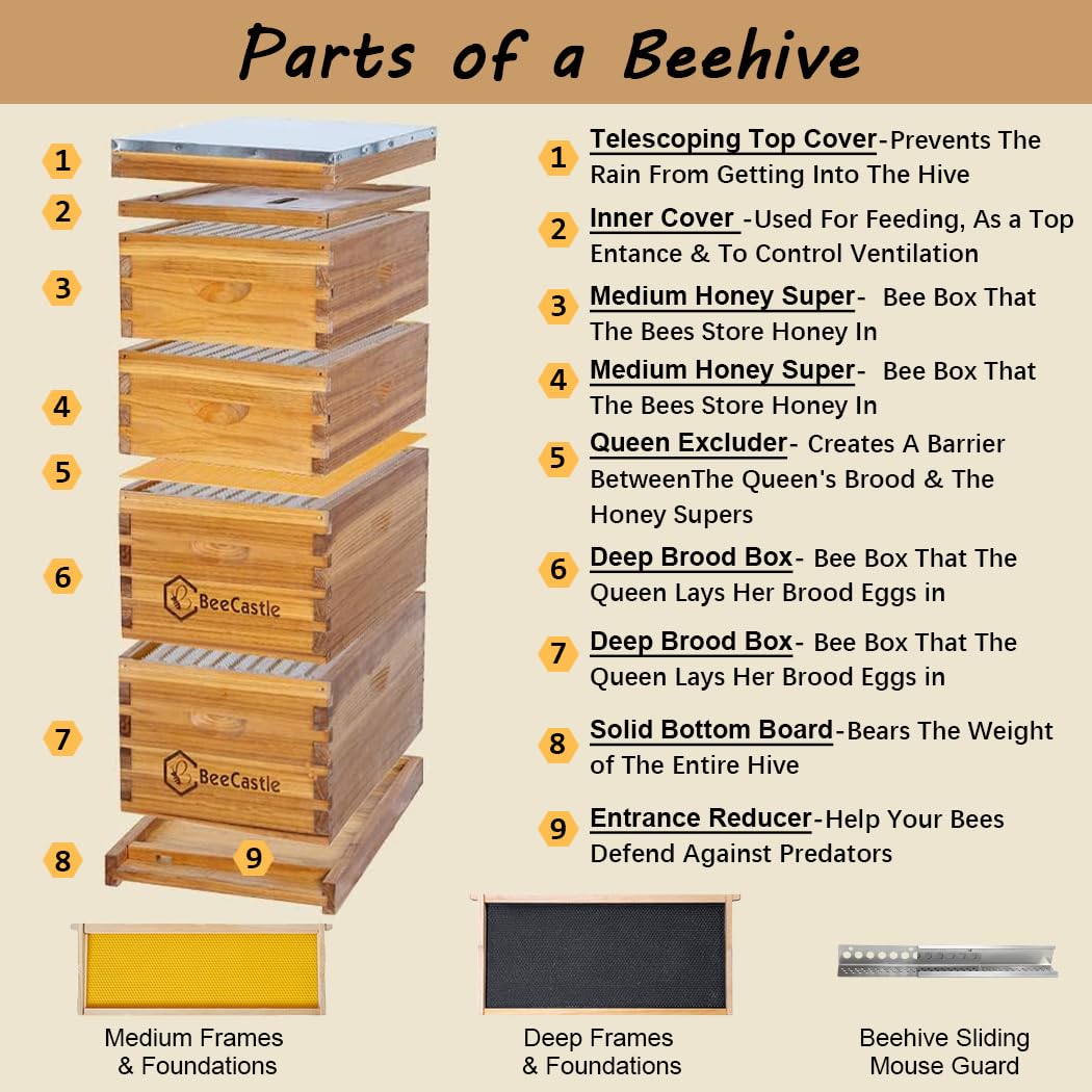 10 Frame Langstroth Bee Hive C - огляд і ціна Beehive Frame Wax