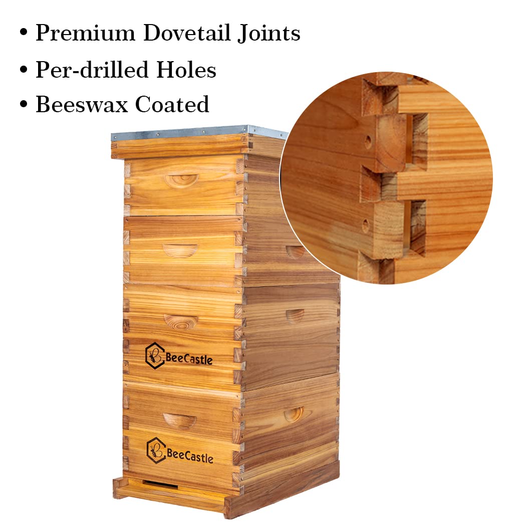 10 Frame Langstroth Bee Hive C - огляд і ціна Beehive Frame Wax