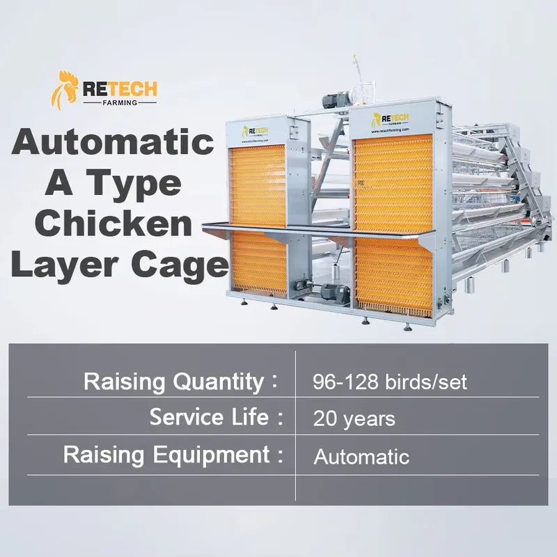Automatic Egg Layer Chicken Ca - огляд і ціна Farming Africa