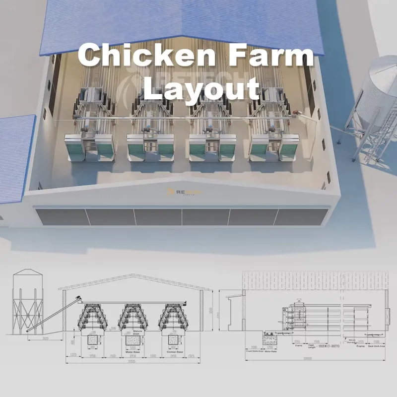 Automatic Egg Layer Chicken Ca - огляд і ціна Farming Africa