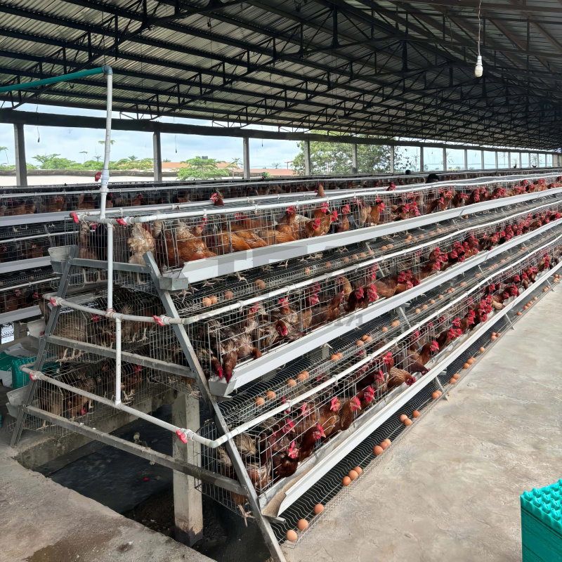 Machinery Sale In South Africa - огляд і ціна Farming Africa