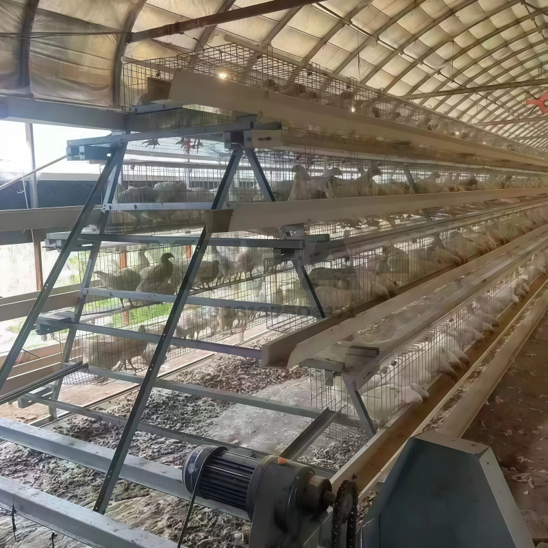 Machinery Sale In South Africa - огляд і ціна Farming Africa