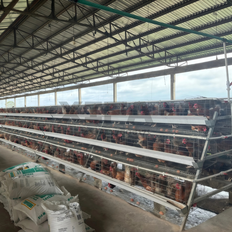 Machinery Sale In South Africa - огляд і ціна Farming Africa