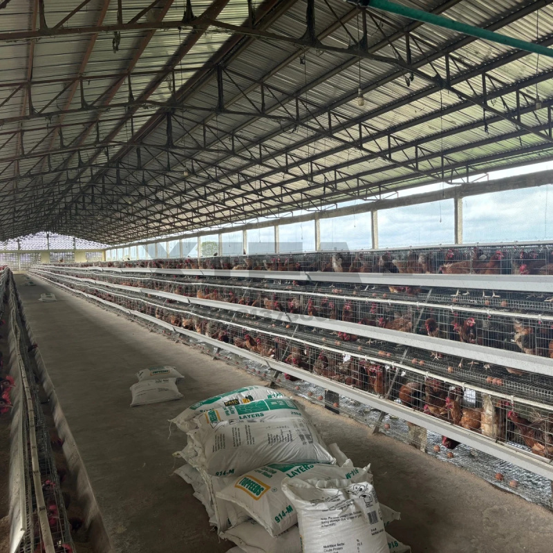 Machinery Sale In South Africa - огляд і ціна Farming Africa
