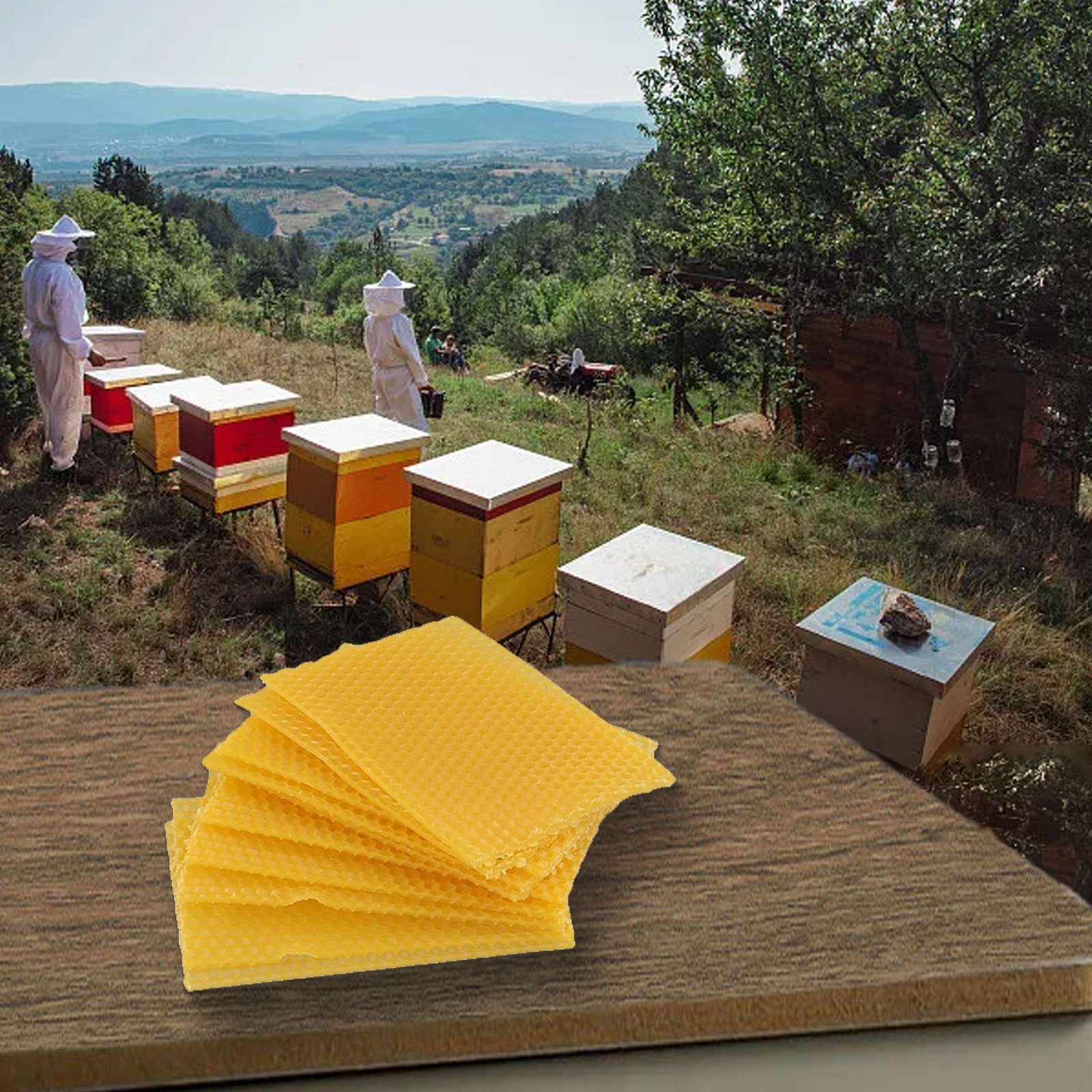 Bee Hive Wax Frames 9cm524x Eq - огляд і ціна Beehive Frame Wax