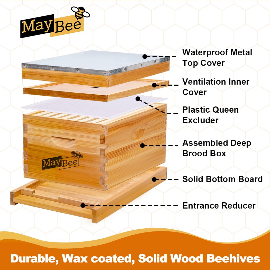 Beehive Starter Kit 8-Frame Be - огляд і ціна Beehive Frame Wax