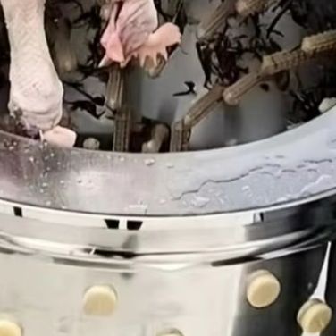 Poultry Hair Remover for Farms - огляд і ціна Farming Africa
