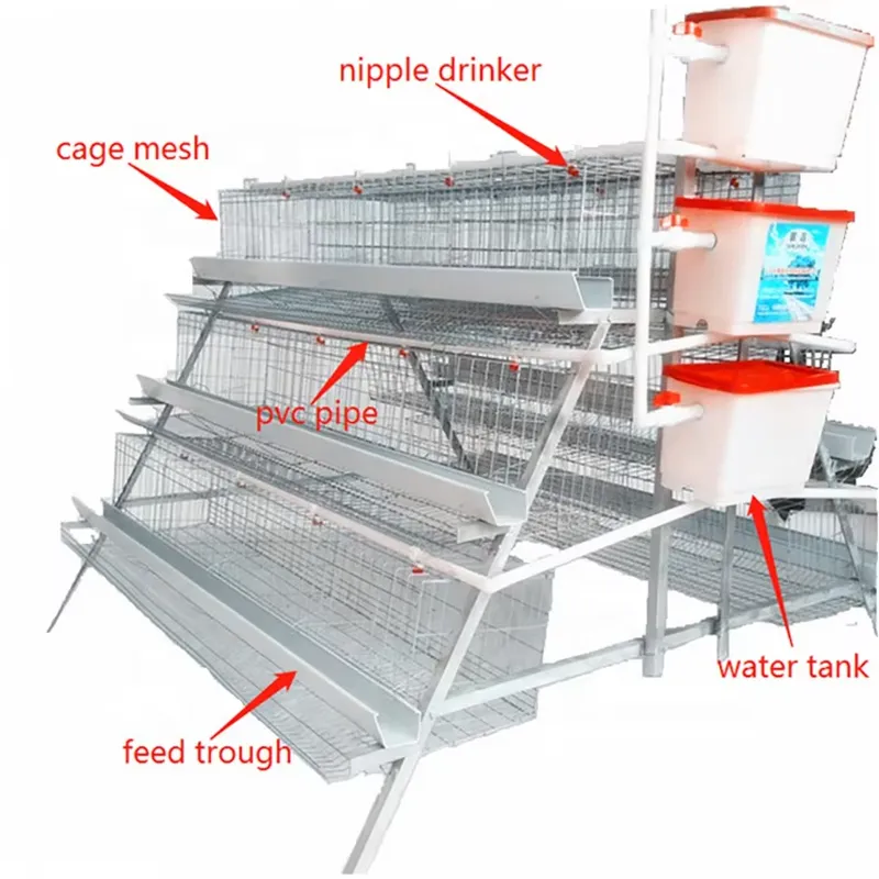 H Type Layer Cages for Poultry - огляд і ціна Farming Africa